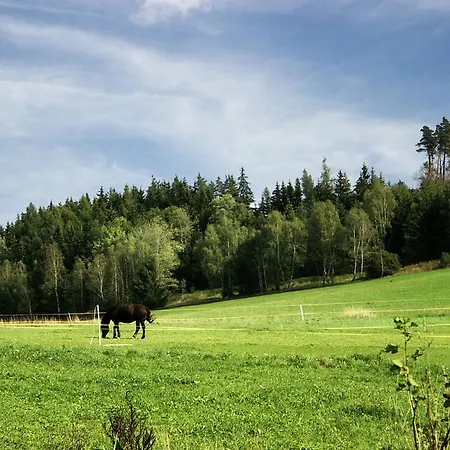 Restaurant Na Cechach